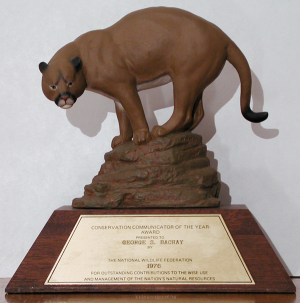 bachaysblackhawk.com