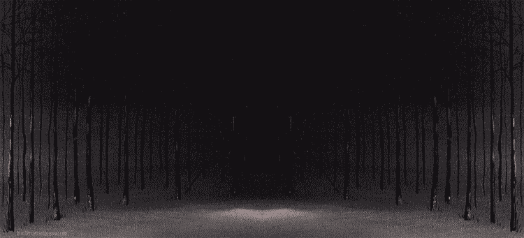 bachaysblackhawk.com