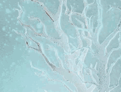 bachaysblackhawk.com